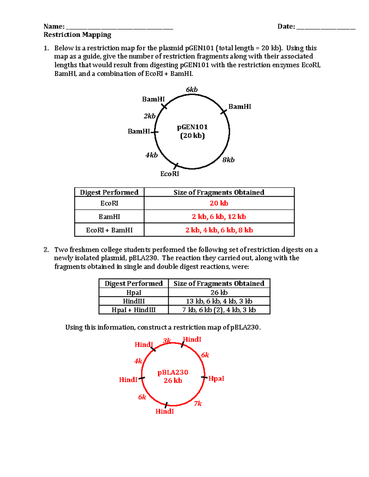 Restriction Mapping Analysis for Plasmids pGEN101, pBLA230, pBR607, pDA401,  and pDA102 - Studocu, image size:1200x1553