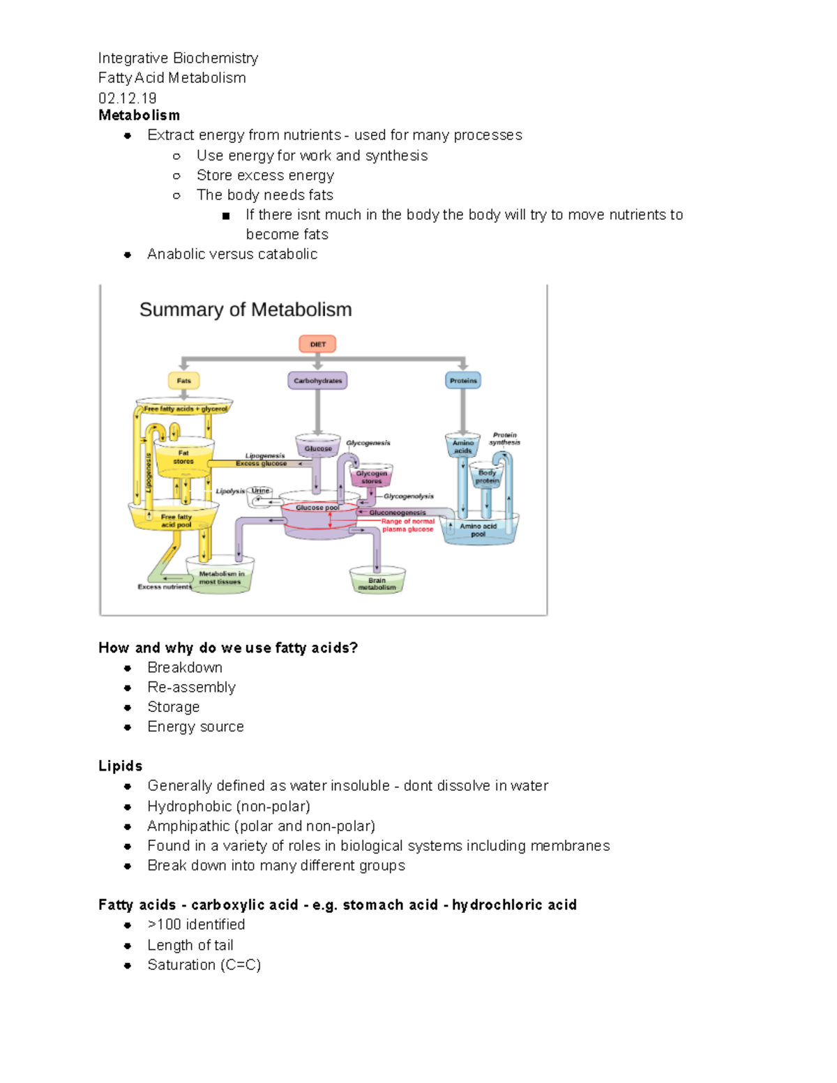 Fatty Acid Metabolism - Metabolism Extract energy from nutrients - used ...