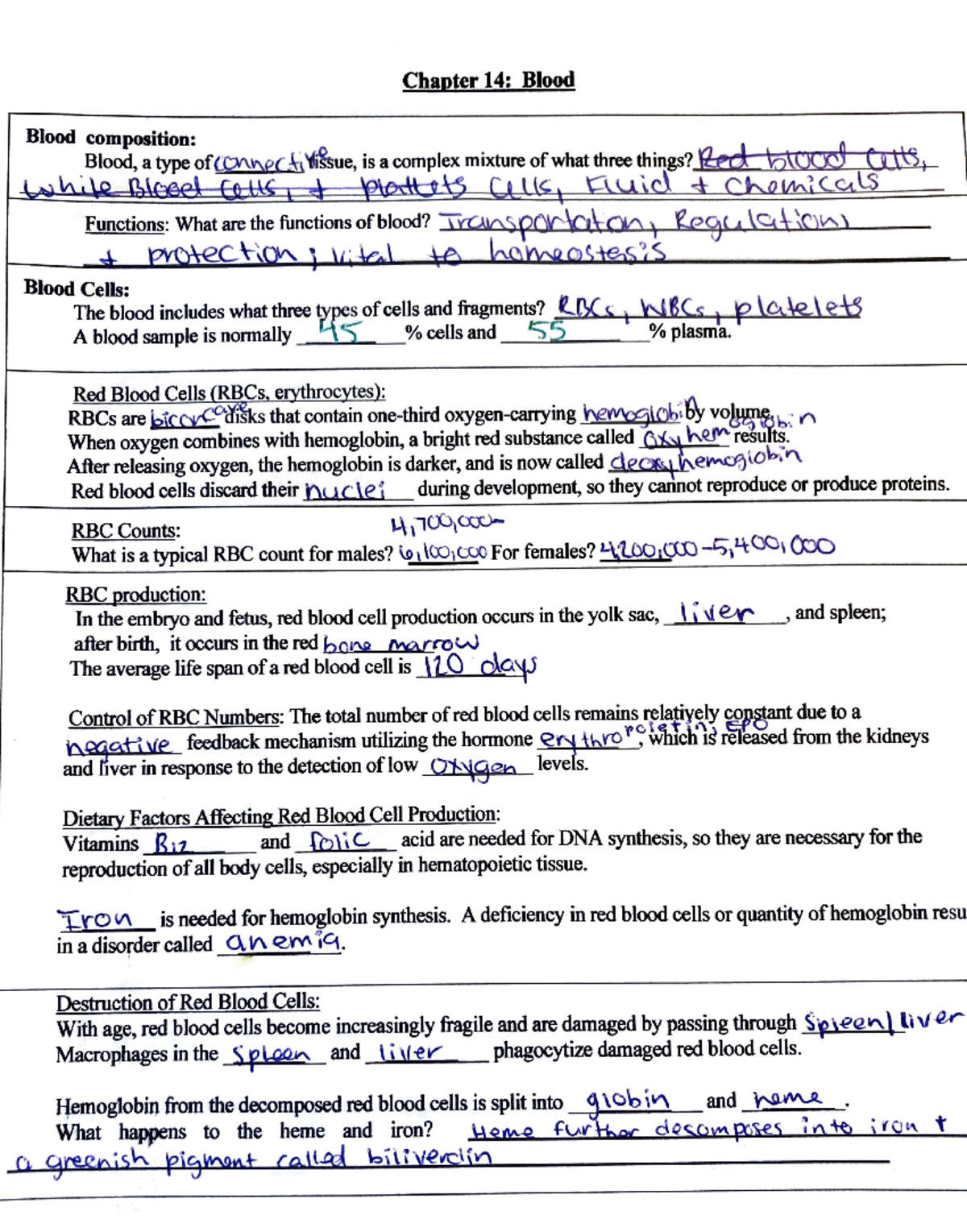 Ch 14,15 - Anatomy and physiology course work - Chapter 14: Blood Blood ...