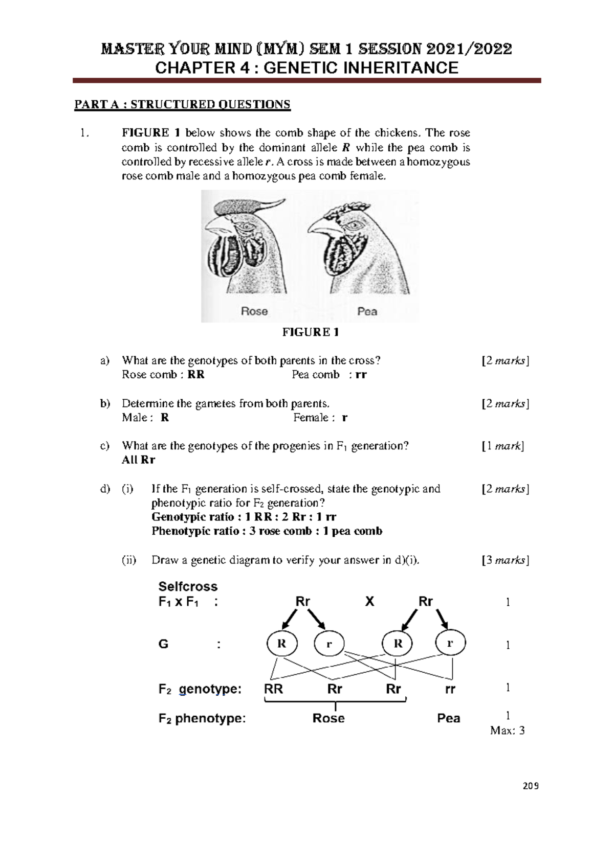 A MYM Chapter 4 - biologi - CHAPTER 4 : GENETIC INHERITANCE PART A ...