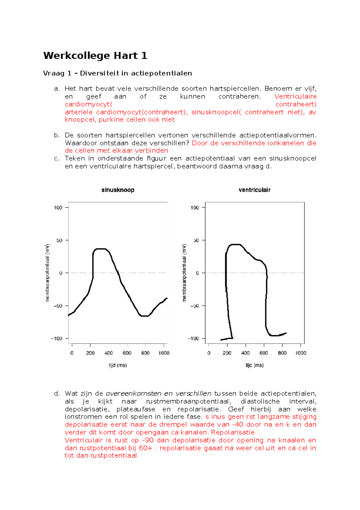 Werkcollege Hart 1 - Actiepotentialen, Ionkanalen en ECG Puzzels ...