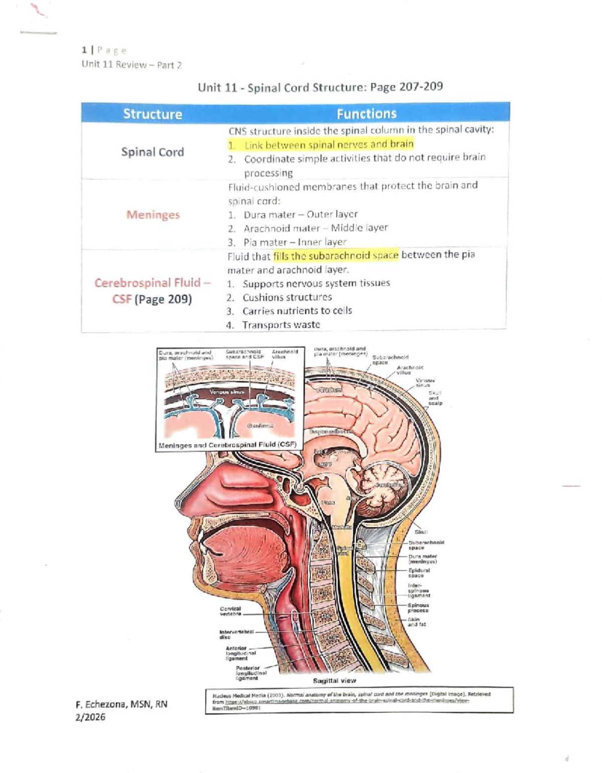 Unit 11 Review Part 2: Spinal Cord, Meninges, and Cranial Nerves - Studocu