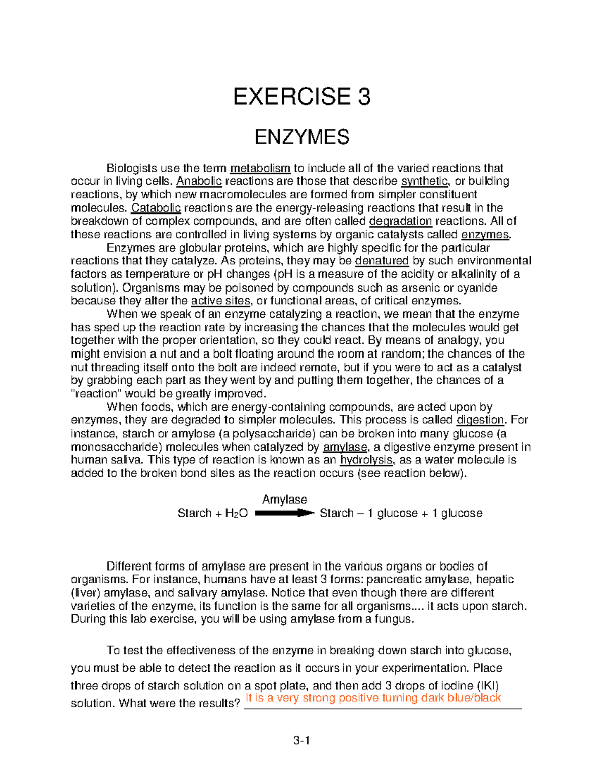 LM EX3 Enzymes - Lab 3 Study Notes and Procedures - Studocu