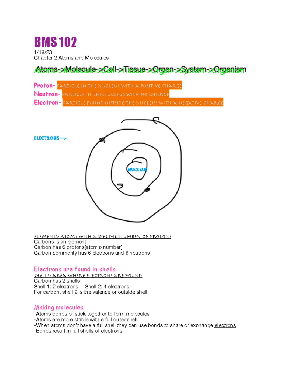 BMS 102 Spring 2023 - BMS notes 2022-2023 - BMS 102 1/19/ Chapter 2 ...