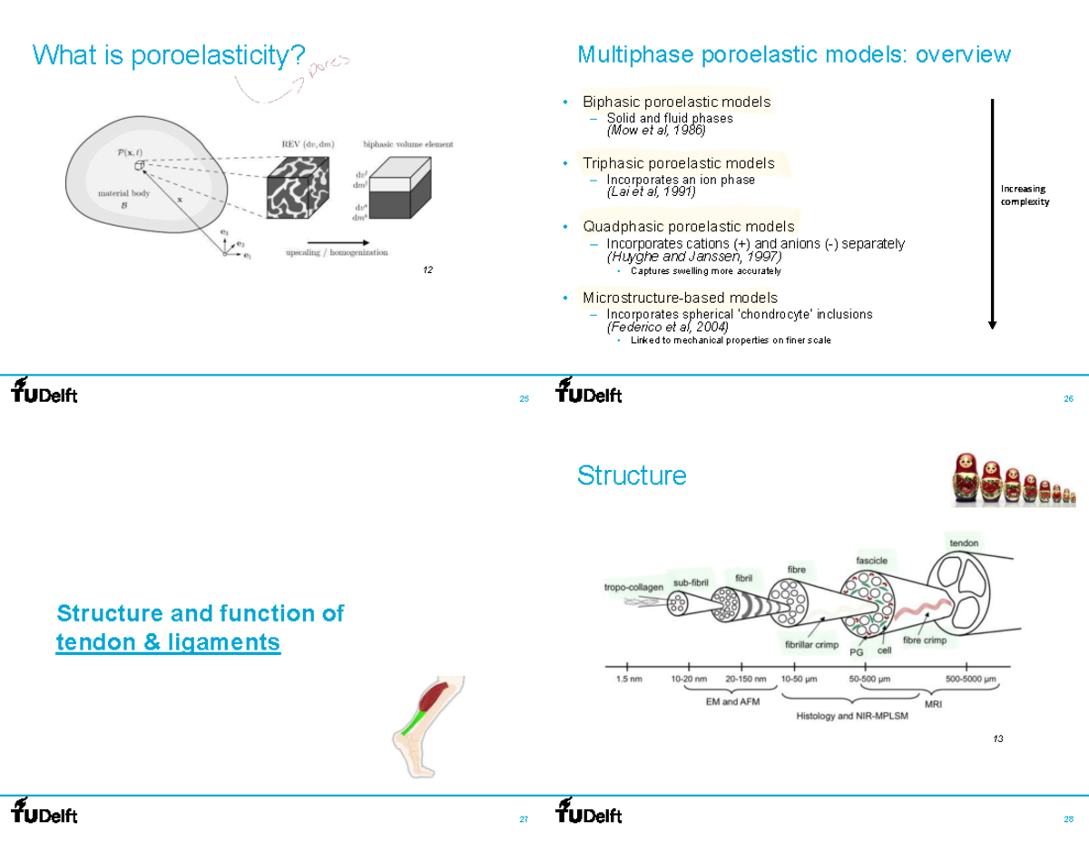 Lecture 9 Notes: Poroelasticity Models & Tendon Mechanics - Studeersnel