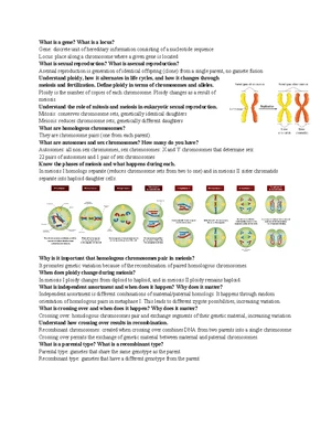 BIOLOGY２Quick Study ACADEMIC 生物学２ QuickStudy | Biology 2 Laminated Study Guide (9781572228269)