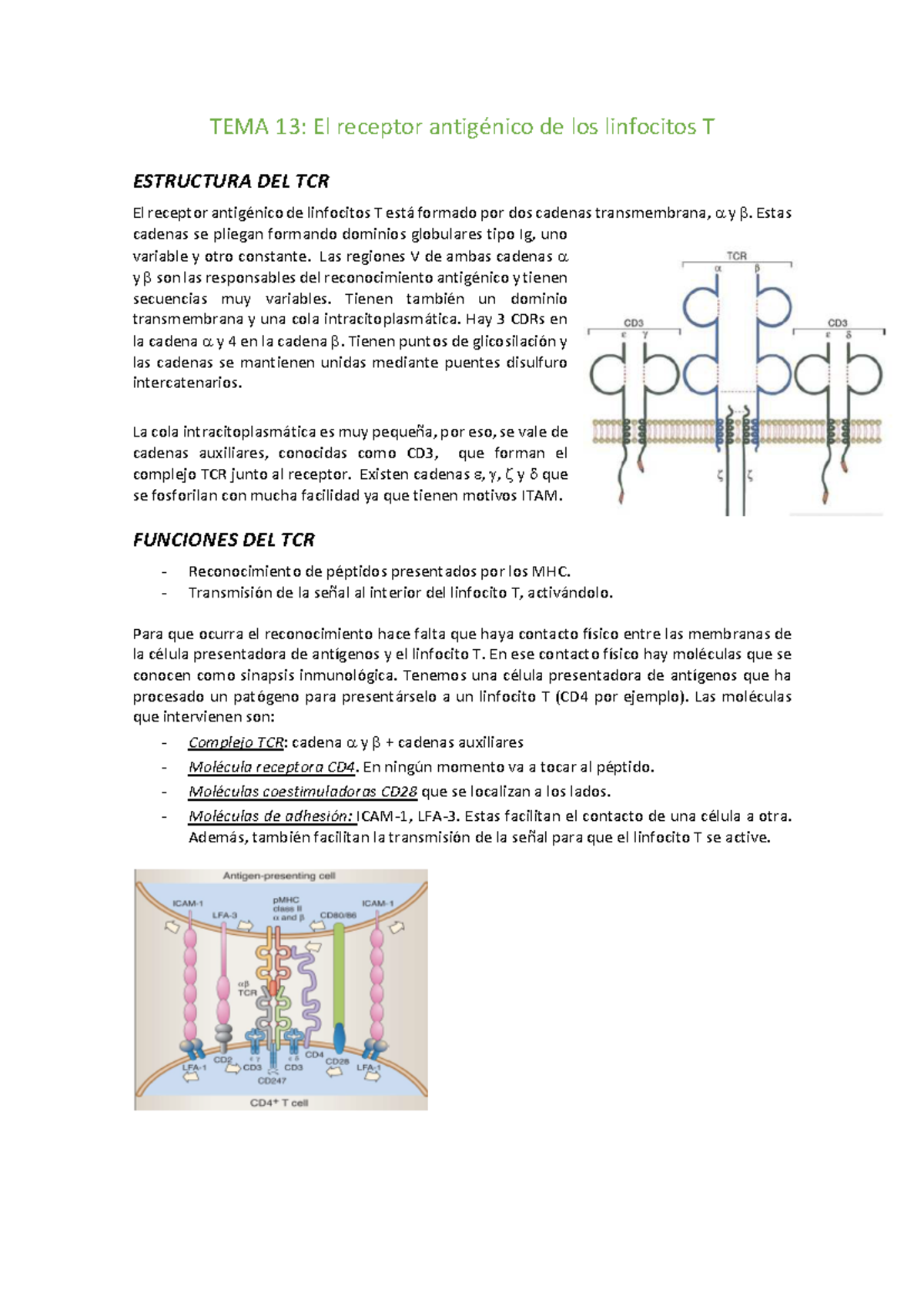Tema 13: Estructura y Función del Receptor Antigénico TCR en Linfocitos ...