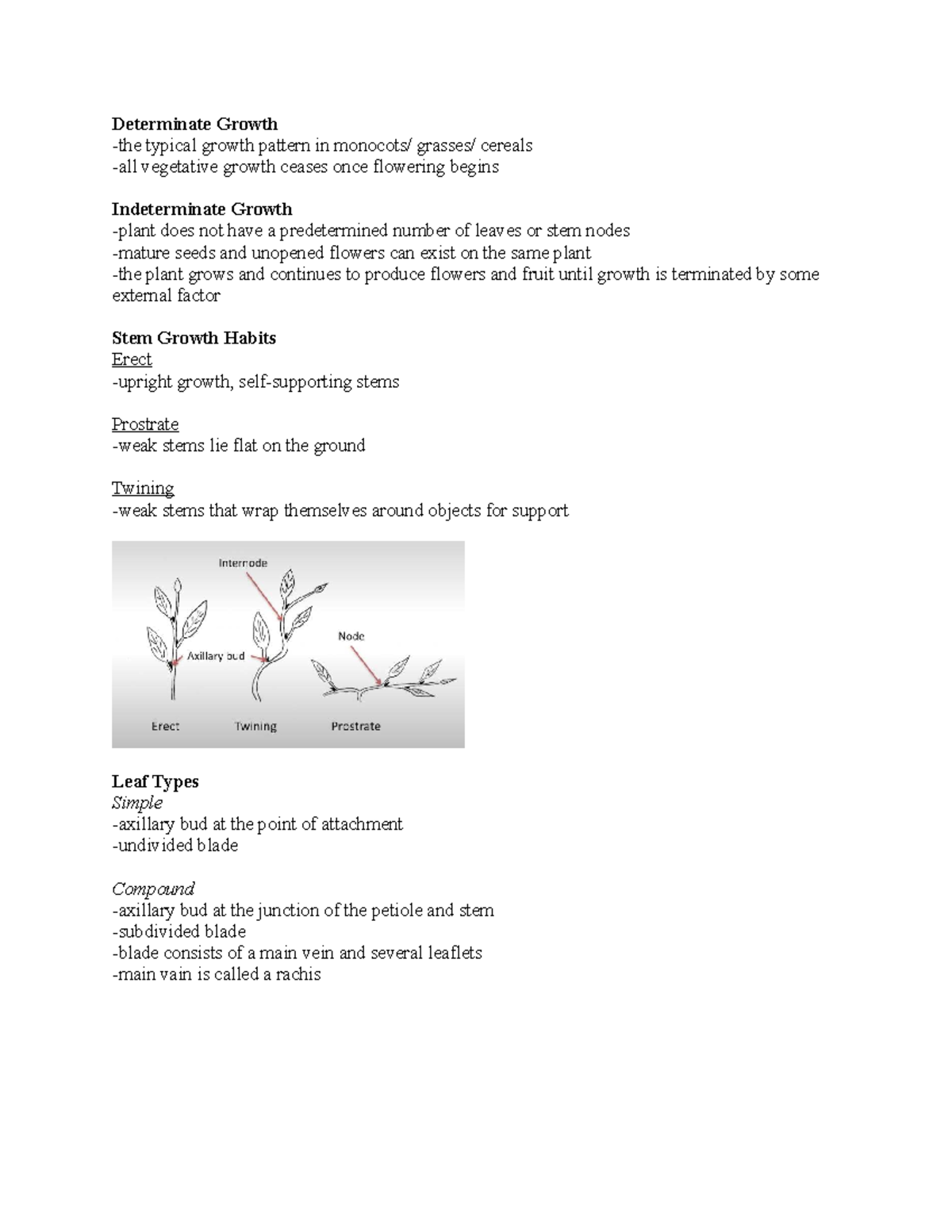 Ag 111 Plant Lab Final Exam Study Guide on Growth Patterns and ...
