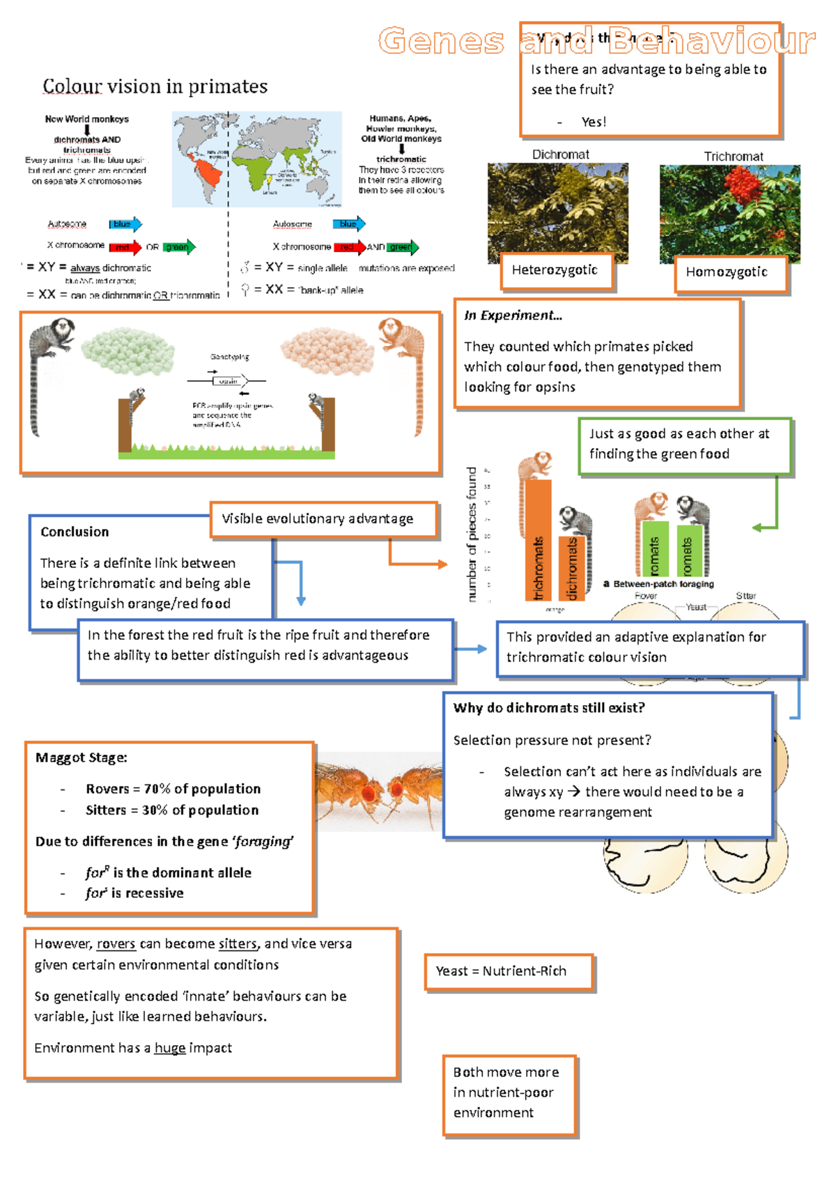 Genes and Behavior in Primates: Foraging, Heritability & Selection ...