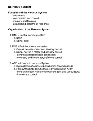 Nervous System Overview and Functions - Lecture Notes (BIO101) - The ...