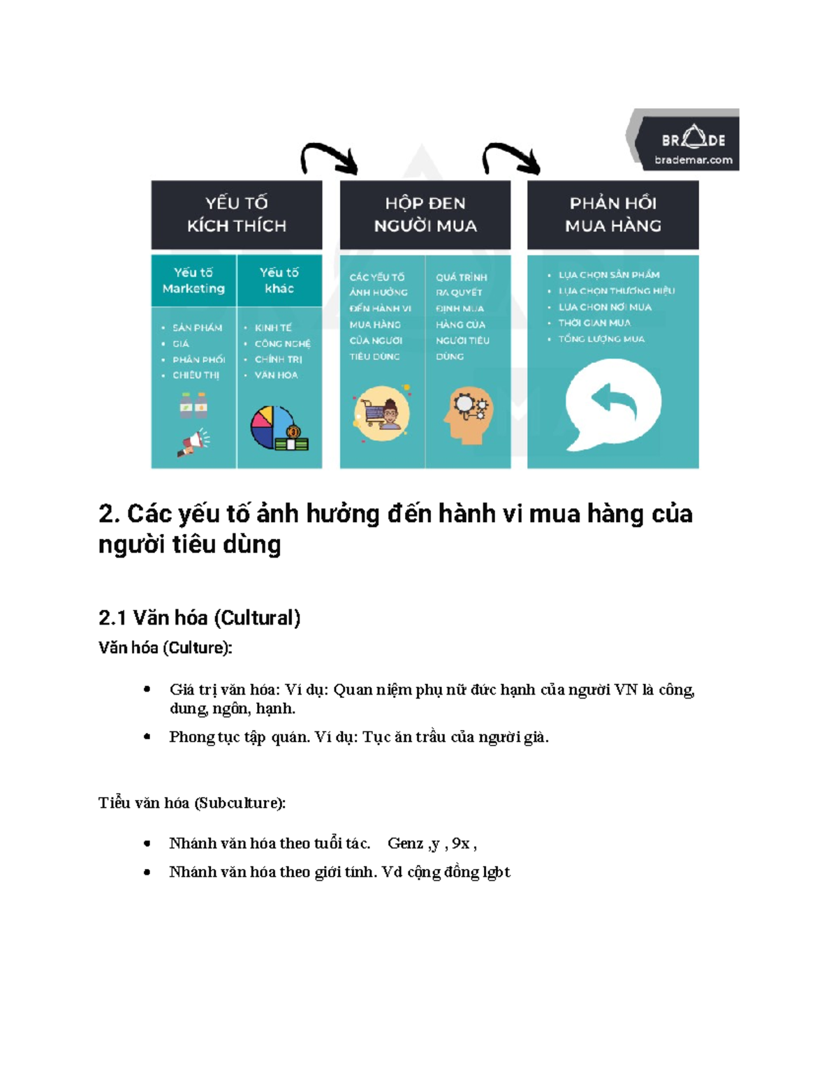 Nghin cu v Cc Yu T nh Hng n Hnh Vi Mua Hng Ca Ngi Tiu Dng  - Studocu