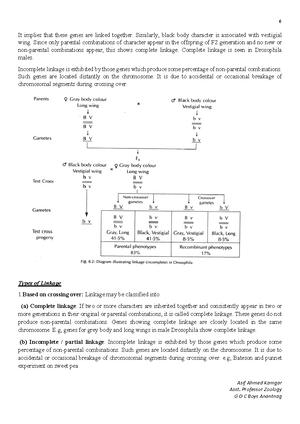 Cytoskeleton new figures - ####### (A) 10 μm Cytoskeleton The ...