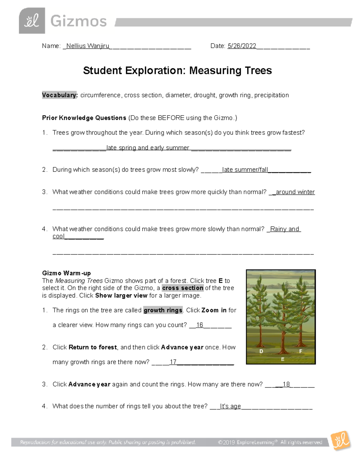 Measuring Trees Exploration SE: Growth Rings & Data Analysis - Studocu