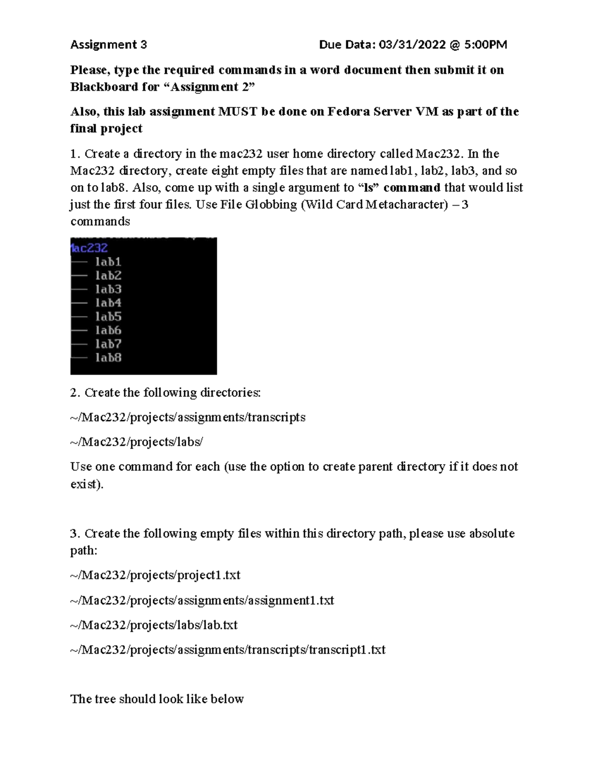 MAC232: Assignment 3 - Fedora Server VM Lab Commands Guide - Studocu