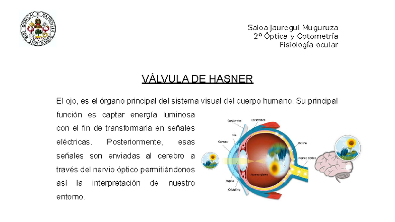 Fisiología Ocular y Válvula de Hasner - 2º Óptica y Optometría - Studocu