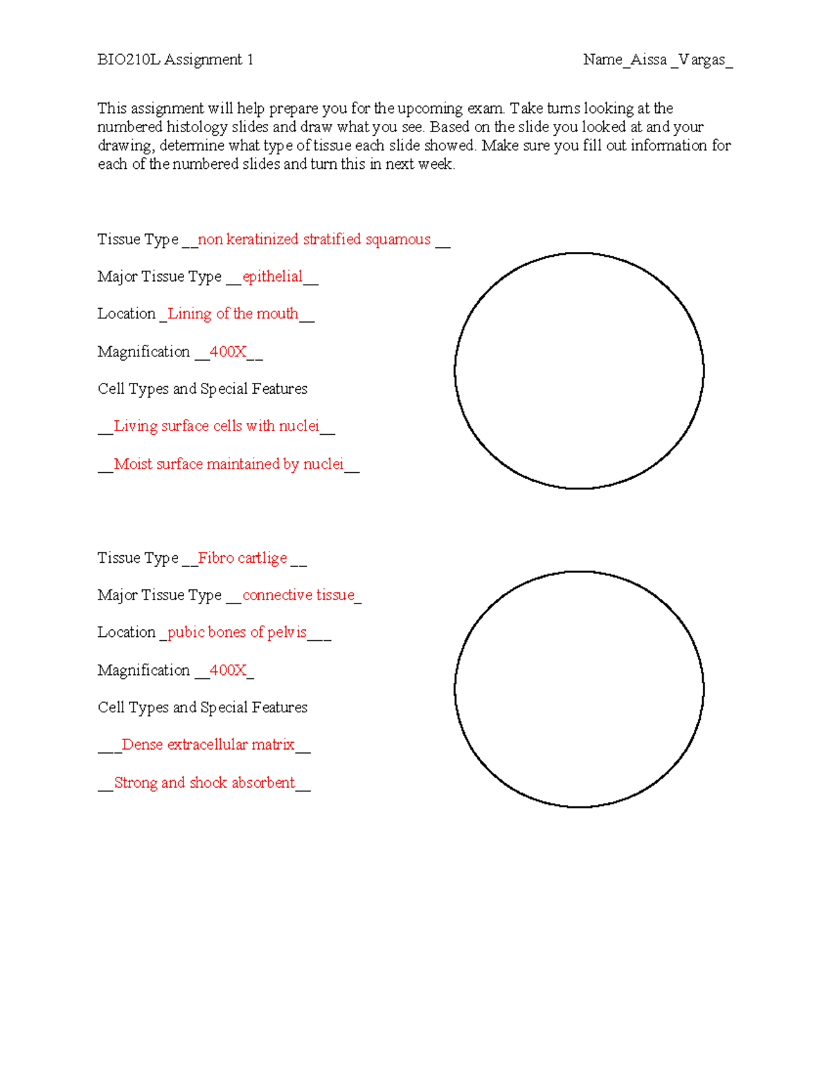 BIO210L Assignment 1: Histology Slide Analysis for Exam Prep - Studocu