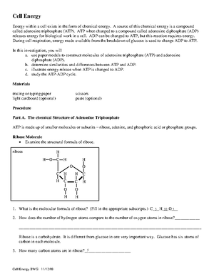 Cell Energy worksheet - Cell Energy Energy within a cell exists in 