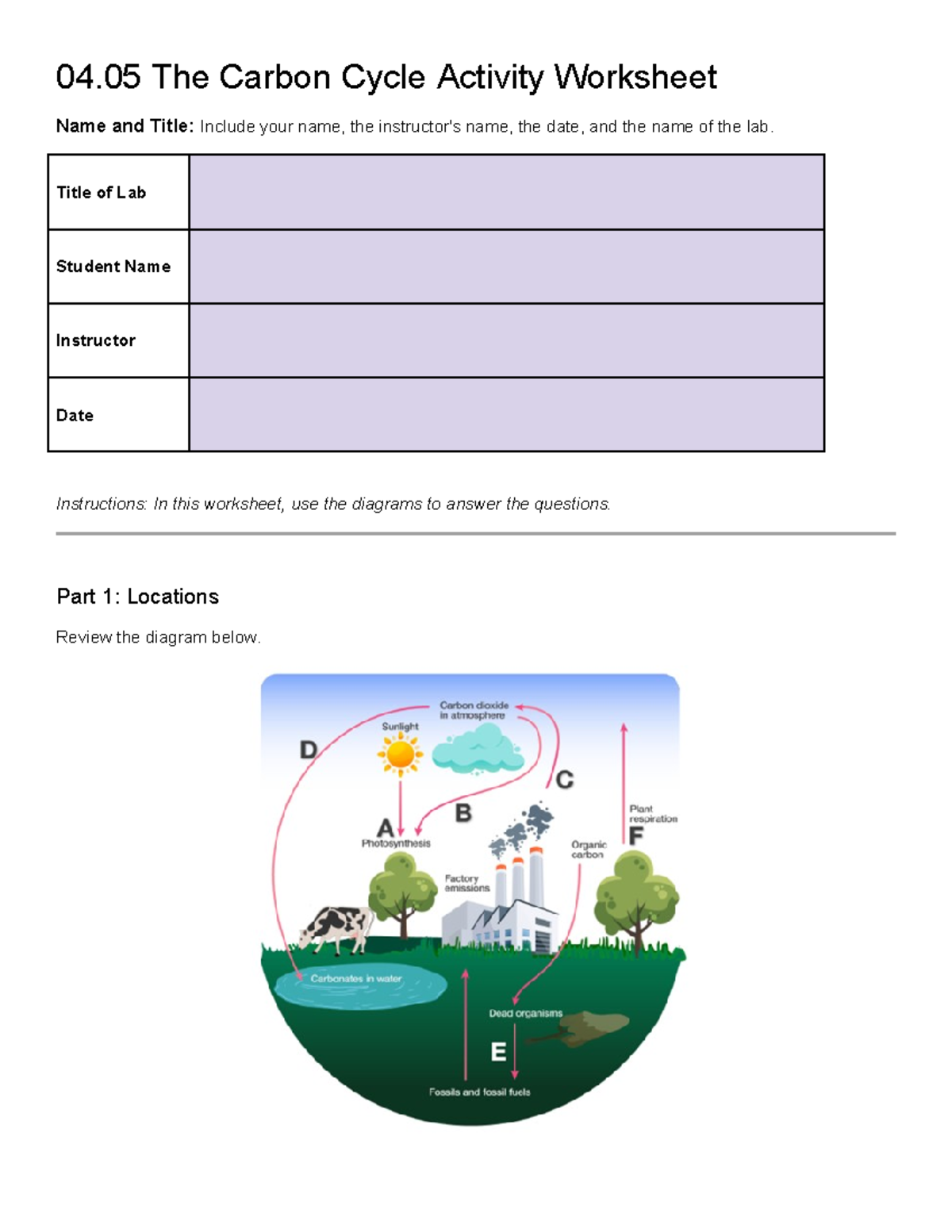 Carbon Cycle Lesson Plan Middle School