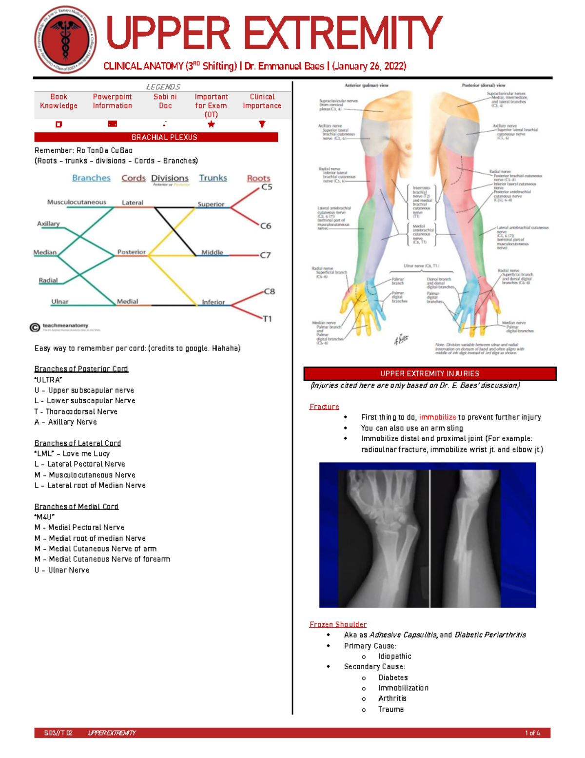 Clinical Anatomy of the Upper Extremity (S 03// T 02) - Studocu