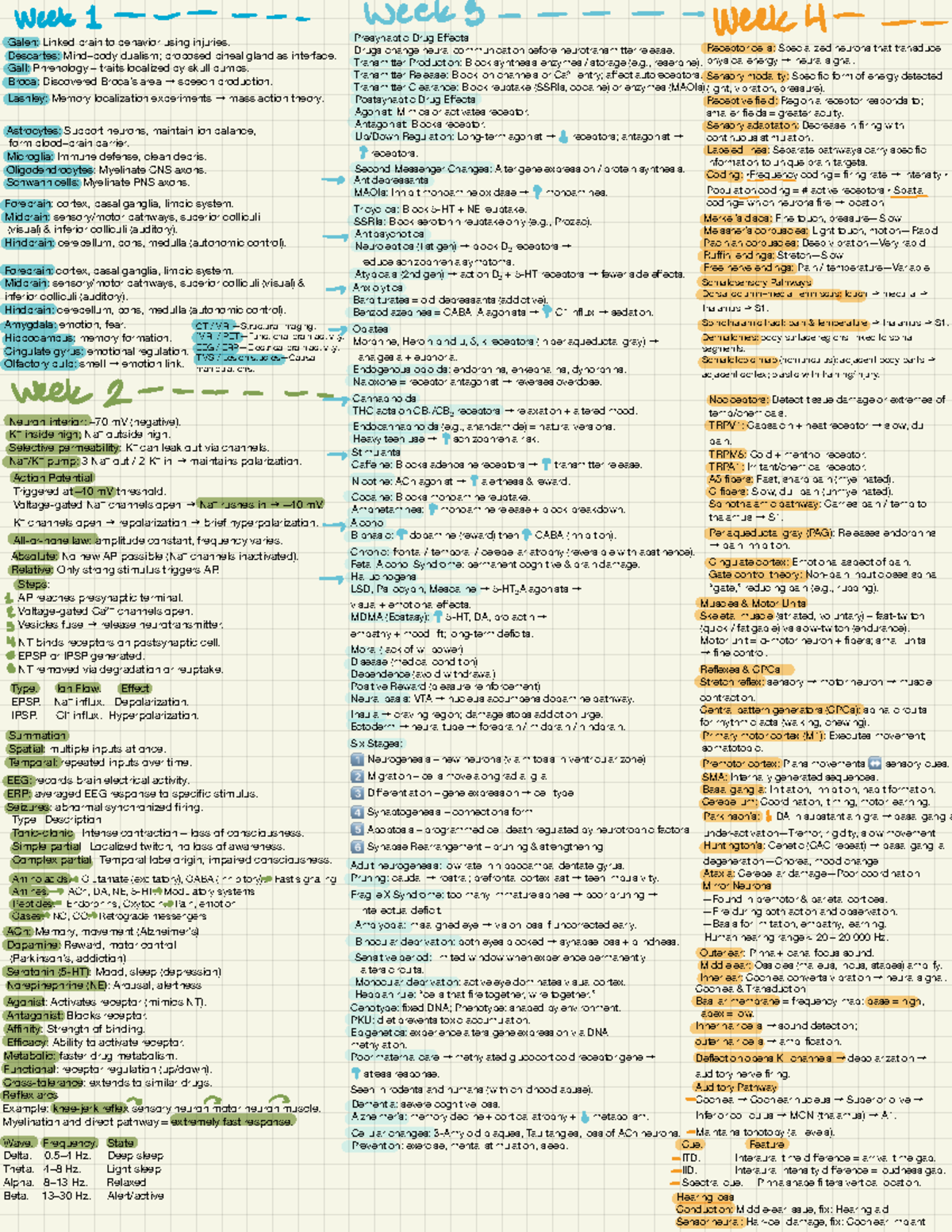 PSY 101: Midterm Cheat Sheet on Neurotransmitter Functions and Drug ...