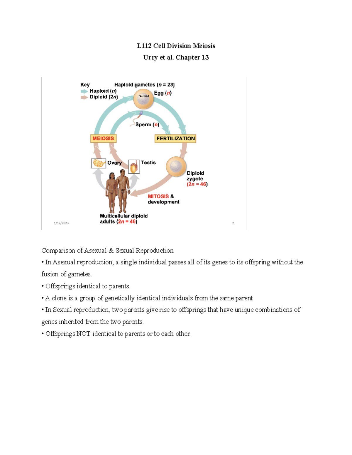 L112 Cell Division Meiosis - Chapter 13 Comparison of Asexual & Sexual ...