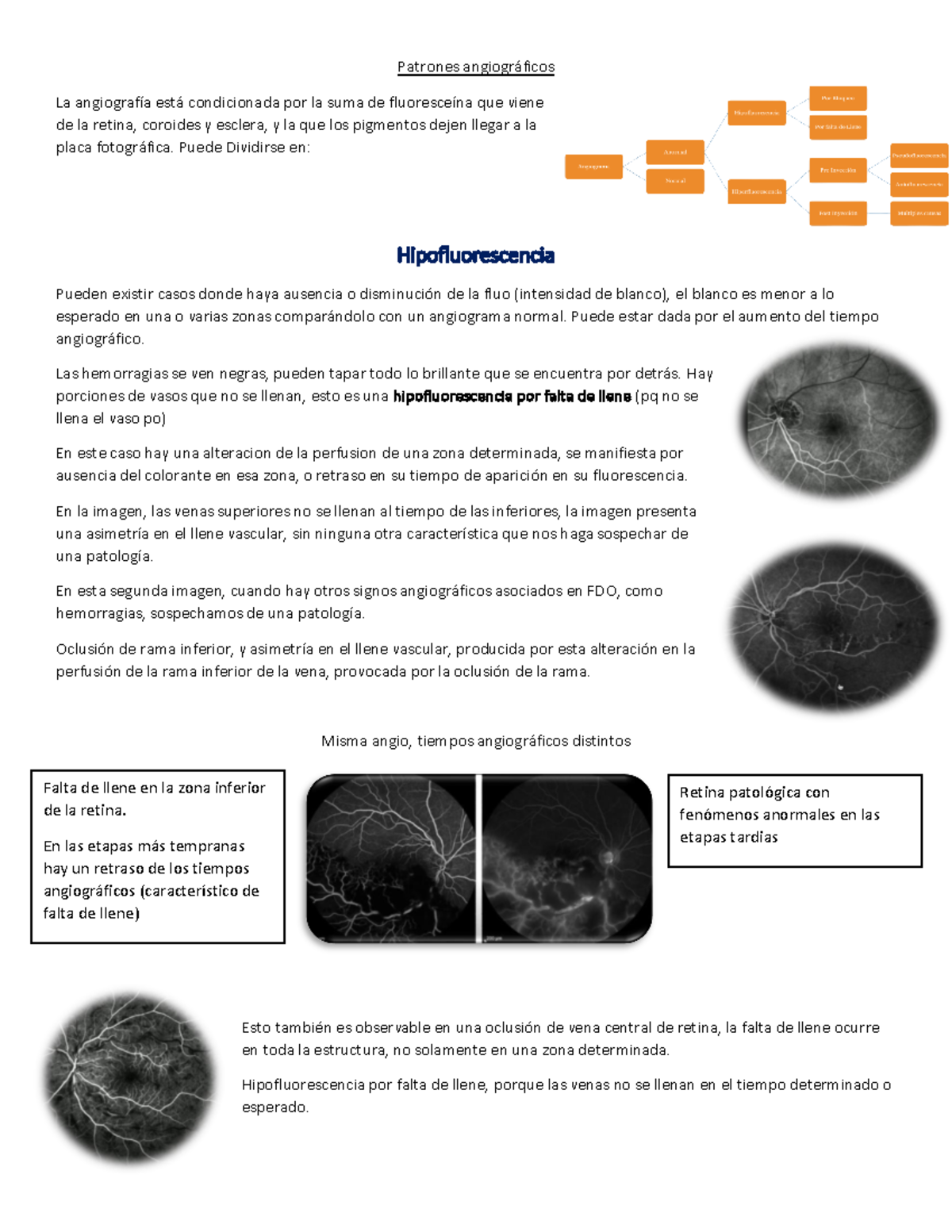 Patrones angiográficos en estudios de retina: análisis y diagnóstico - Document Preview