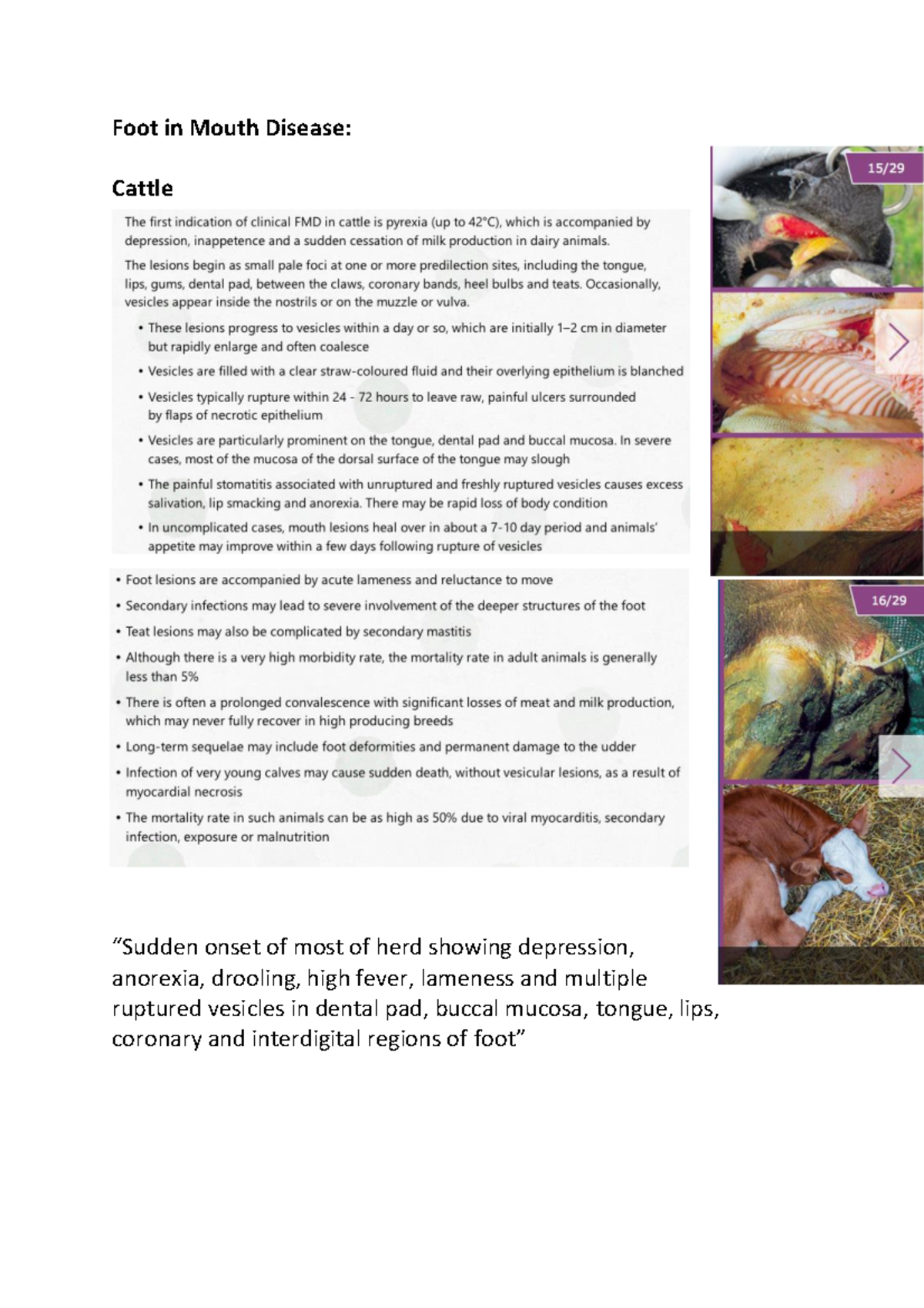 Foot in Mouth Disease - FMD Notes - ANS313 - Foot in Mouth Disease ...