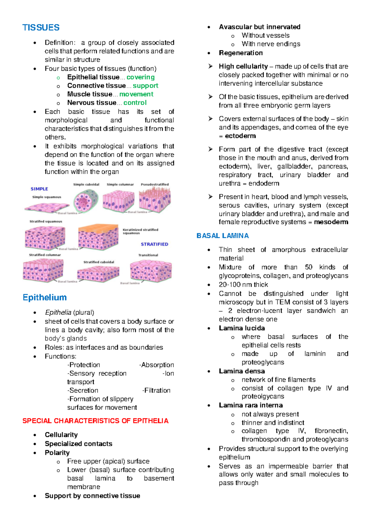 Tissues - Review Notes for Bio 101 Final Exam - Studocu