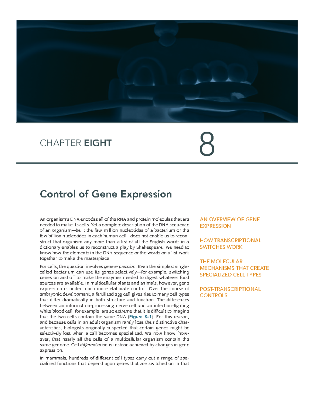 Cell bio chapter 8 - textbook - An organism’s DNA encodes all of the ...