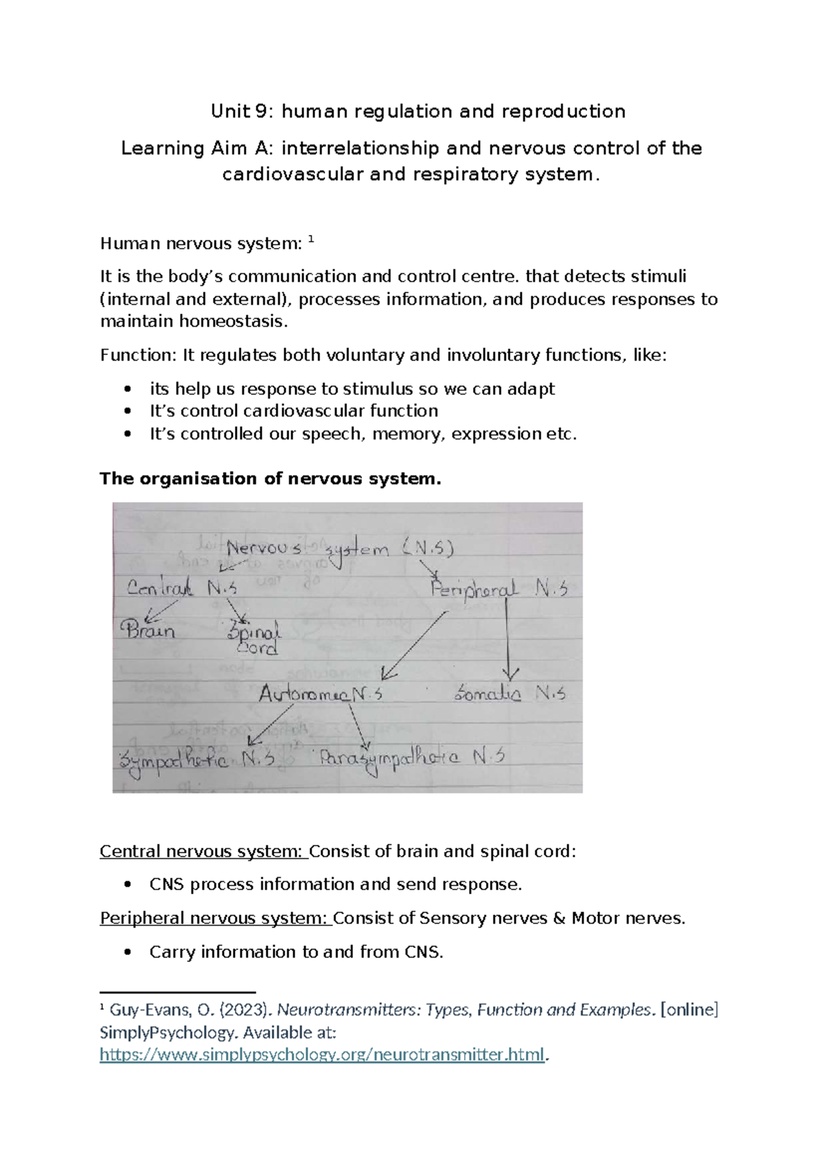 Unit 9: Human Regulation & Reproduction - Nervous Control of CVS ...