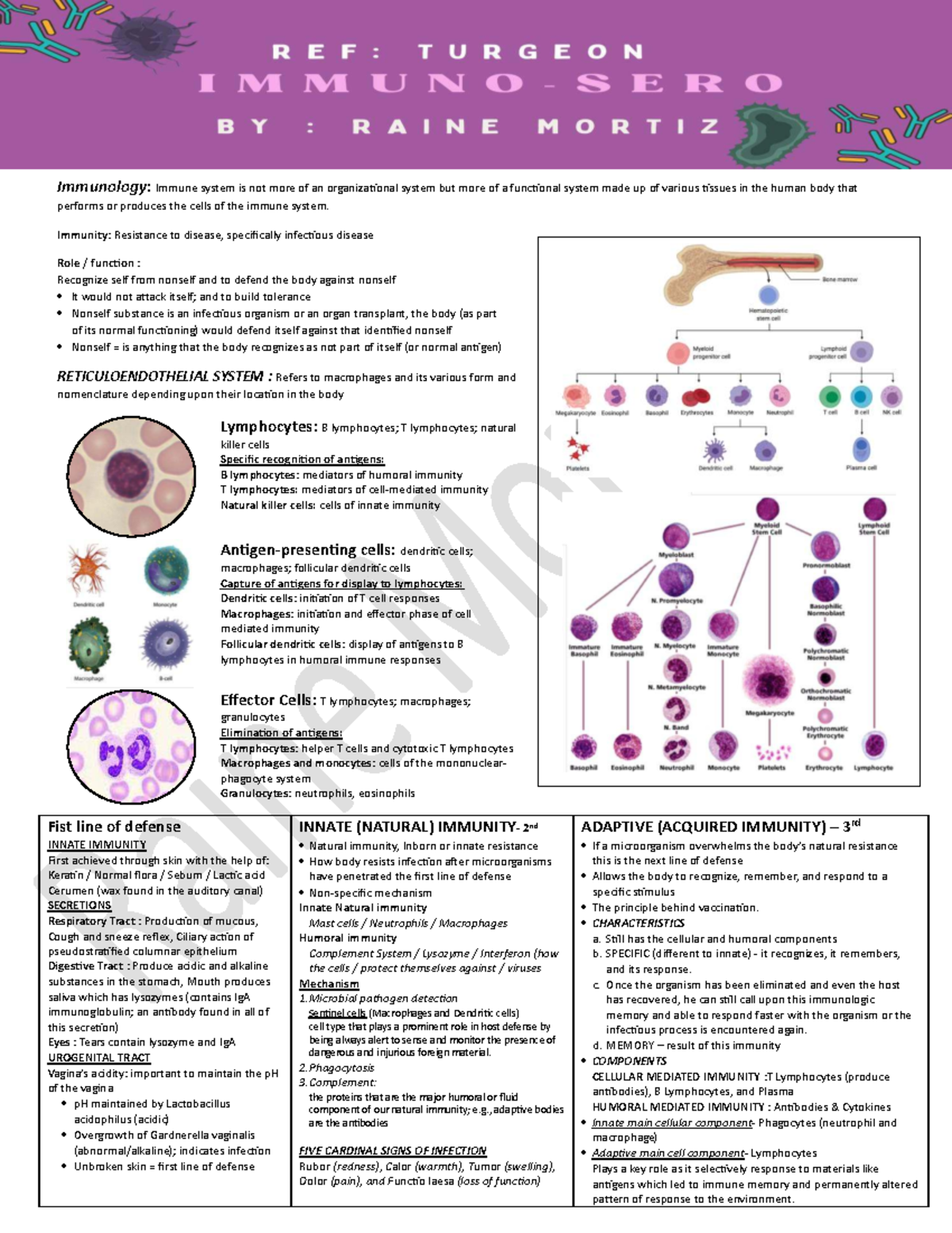 Immunology Prelims Lecture Notes: Understanding the Immune System - Studocu