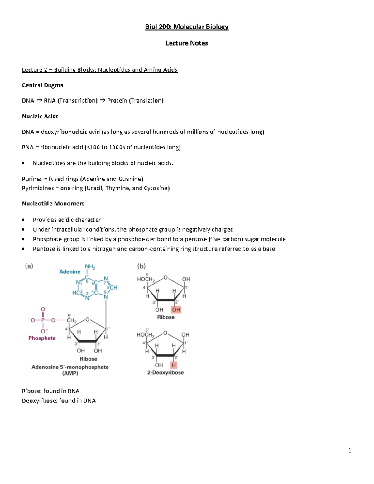 Biol 200: Comprehensive Lecture Notes for Topics 1-8 - Studocu