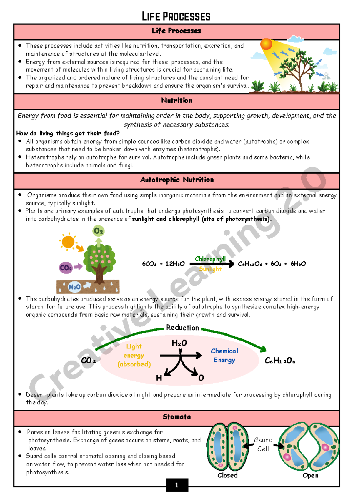 Biology Notes - Good - Life Processes ####### These processes include ...