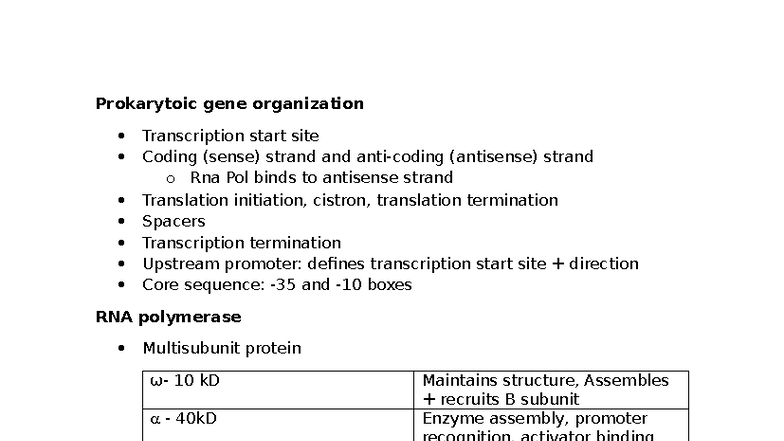 Prokaryotic Gene Regulation and Transcription Mechanisms (BIO 101 ...