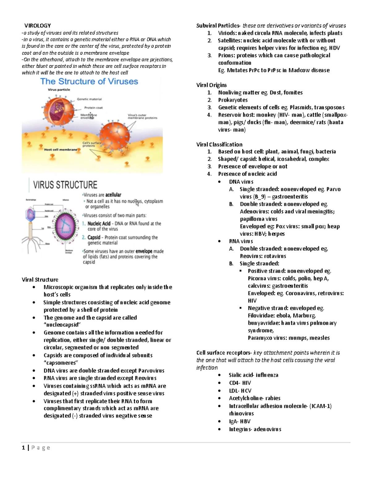 CH29: Key Characteristics & Taxonomy of Viruses in Virology - Studocu