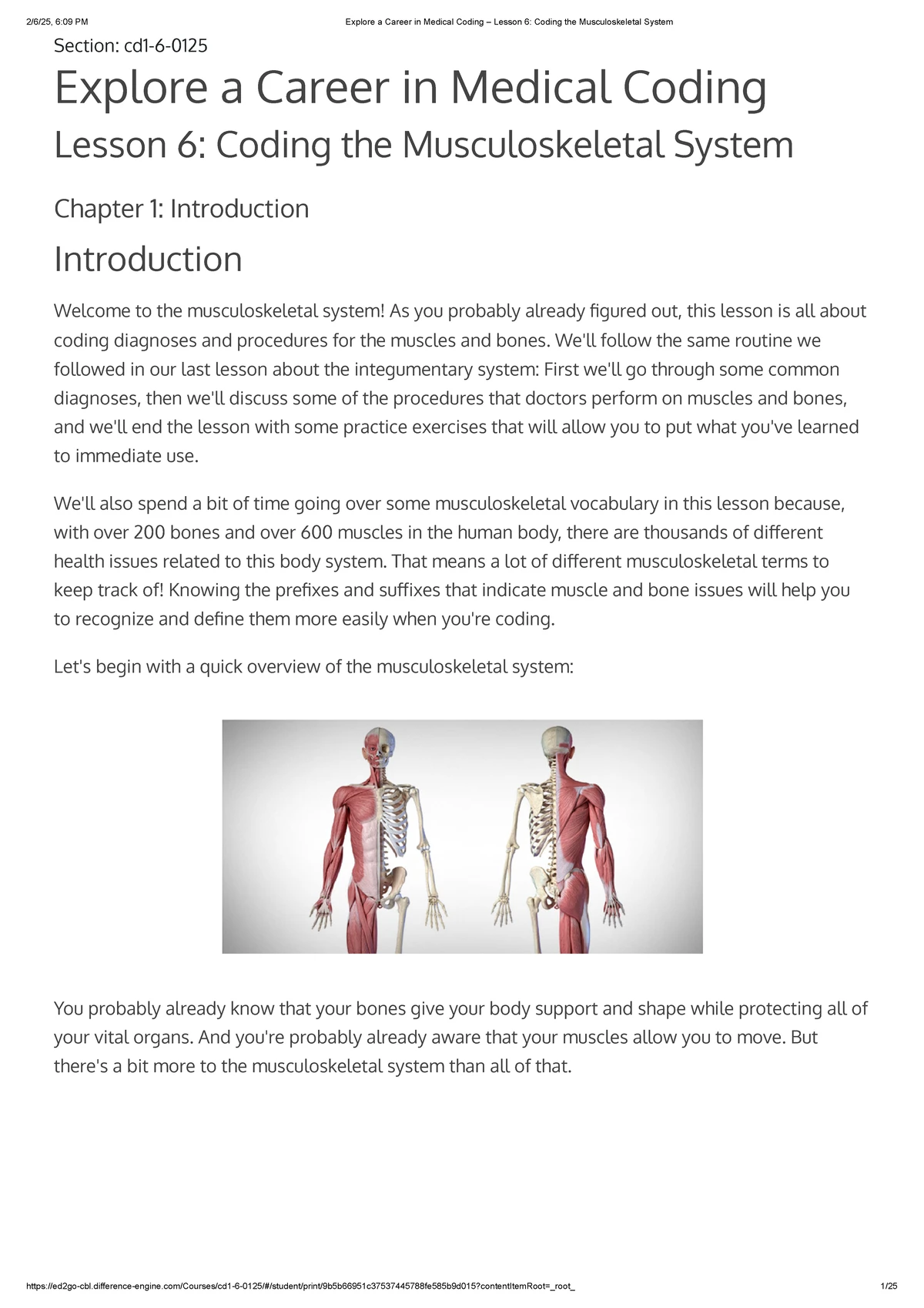 Explore a Career in Medical Coding - Lesson 5: Integumentary System ...