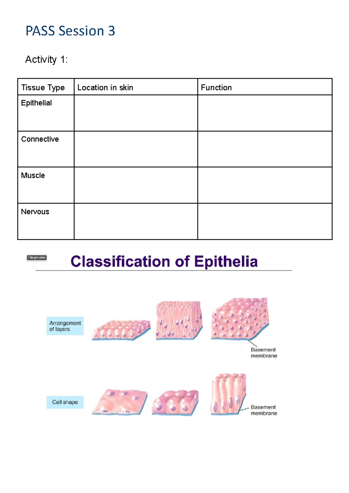 PASS Session 3 Study Notes: Tissue Types & Neuron Functions - Studocu