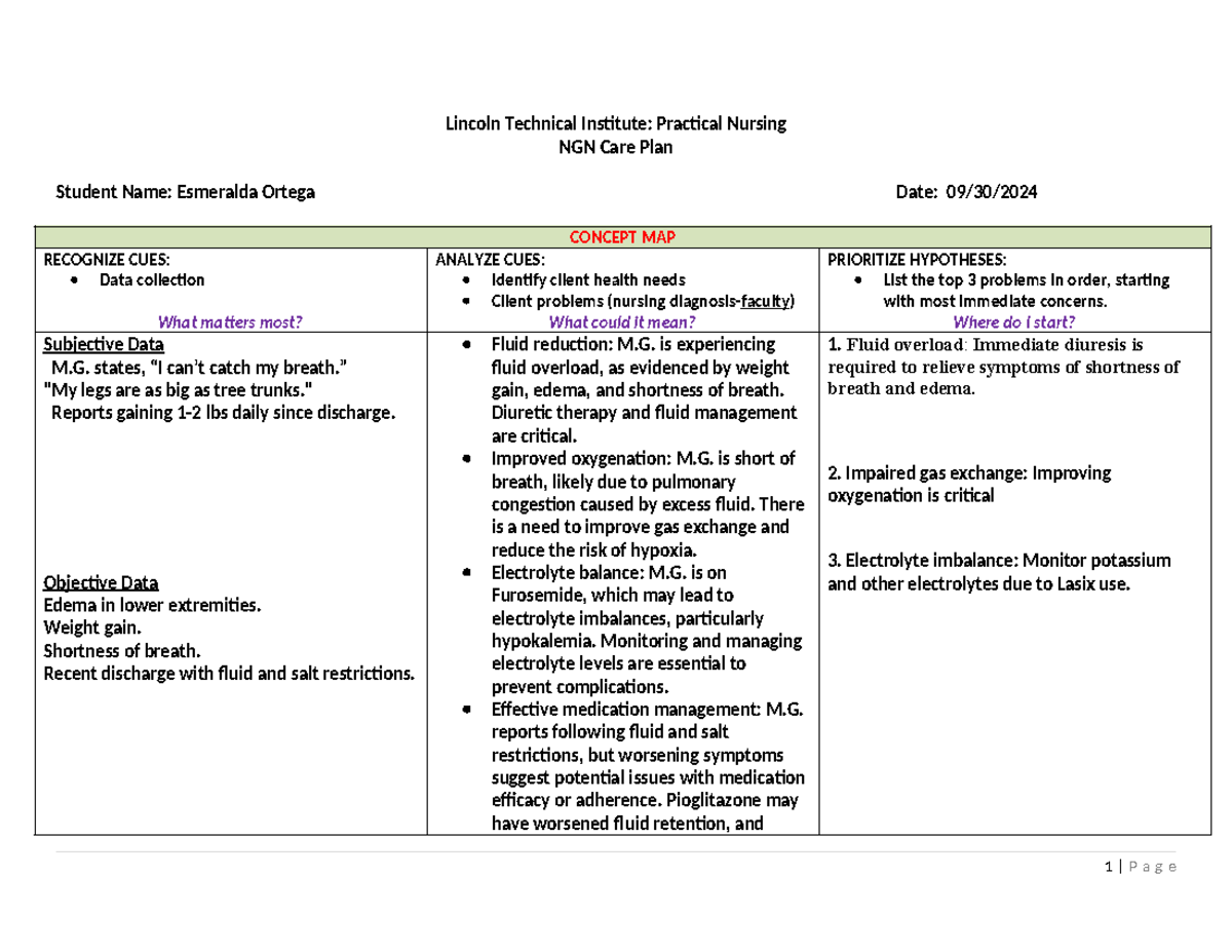 NGN Care Plan: Practical Nursing Homework Assignment - Studocu