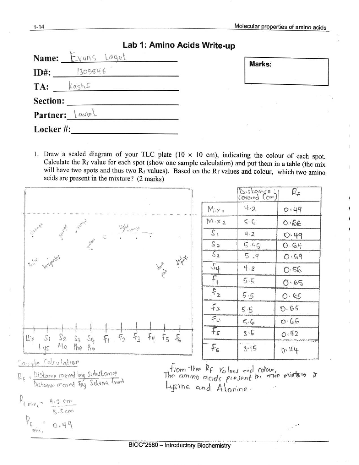 Lab 1: Molecular Properties of Amino Acids - TLC Analysis - Studocu