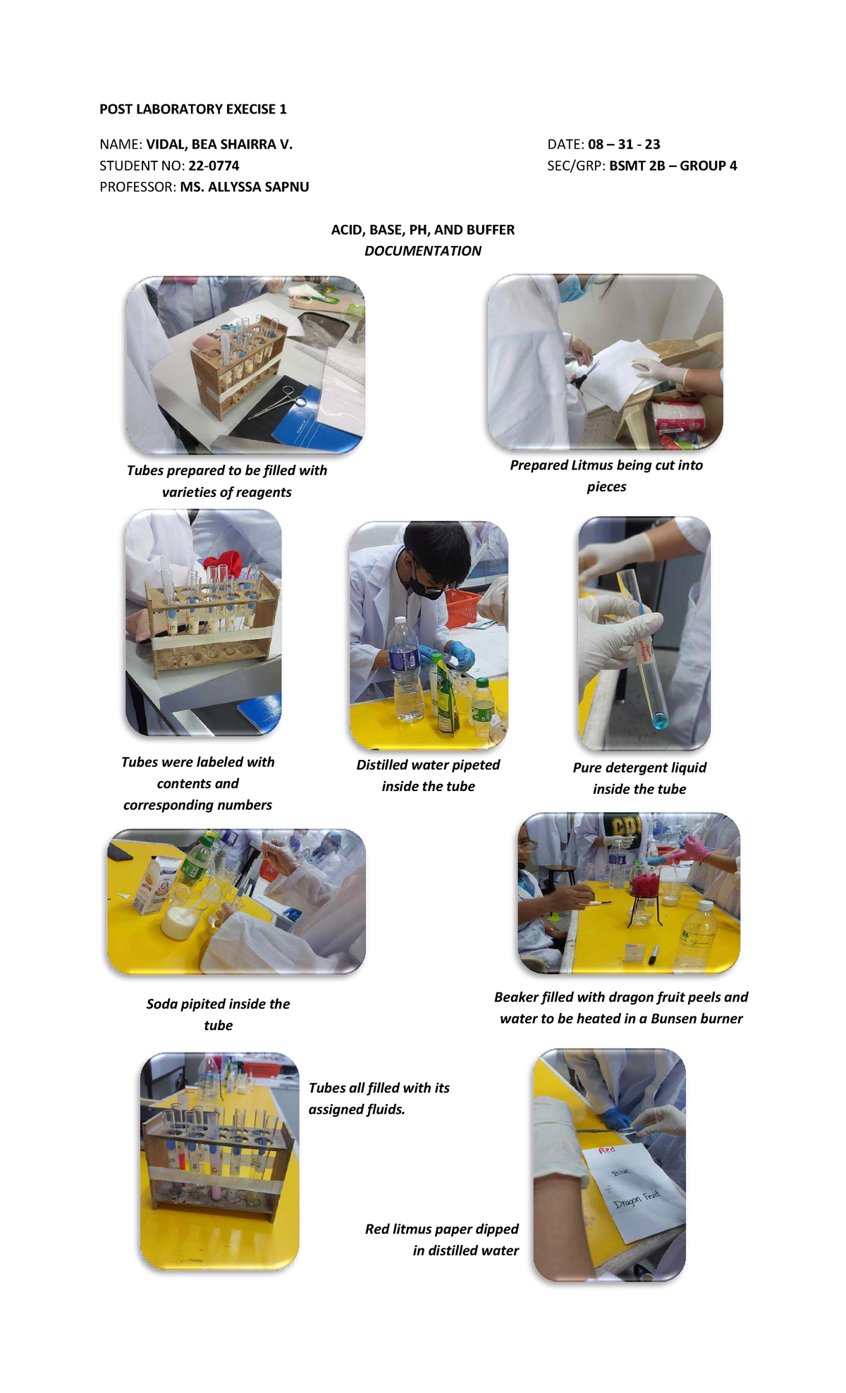 BSMT 2B Post Lab Exercise 1: Acid, Base, pH, and Buffer Documentation ...