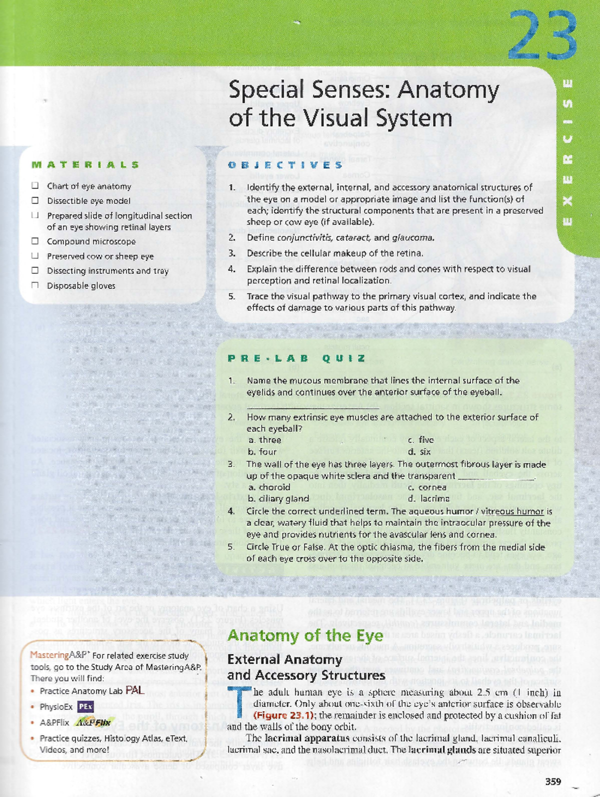 Exercise 6 Visual - Lab practical full credit worksheet. - Special ...