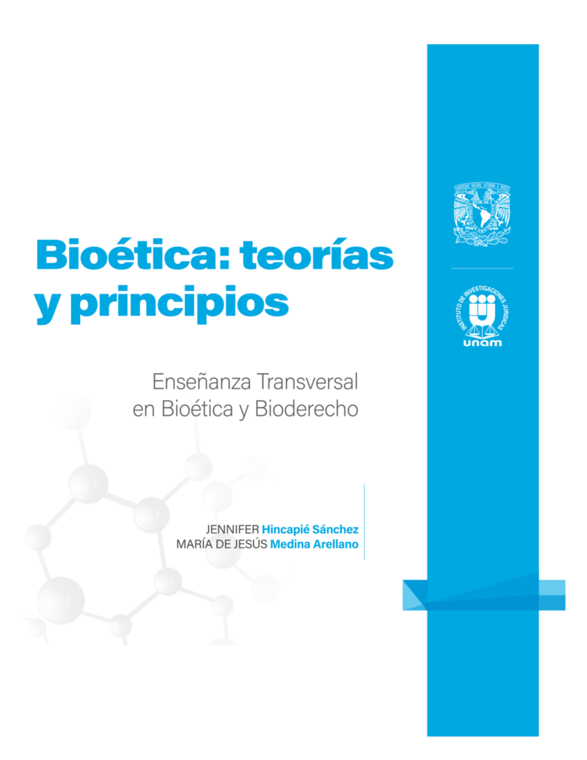 Teorías y Principios de Bioética y Bioderecho: Cuadernillos Digitales ...