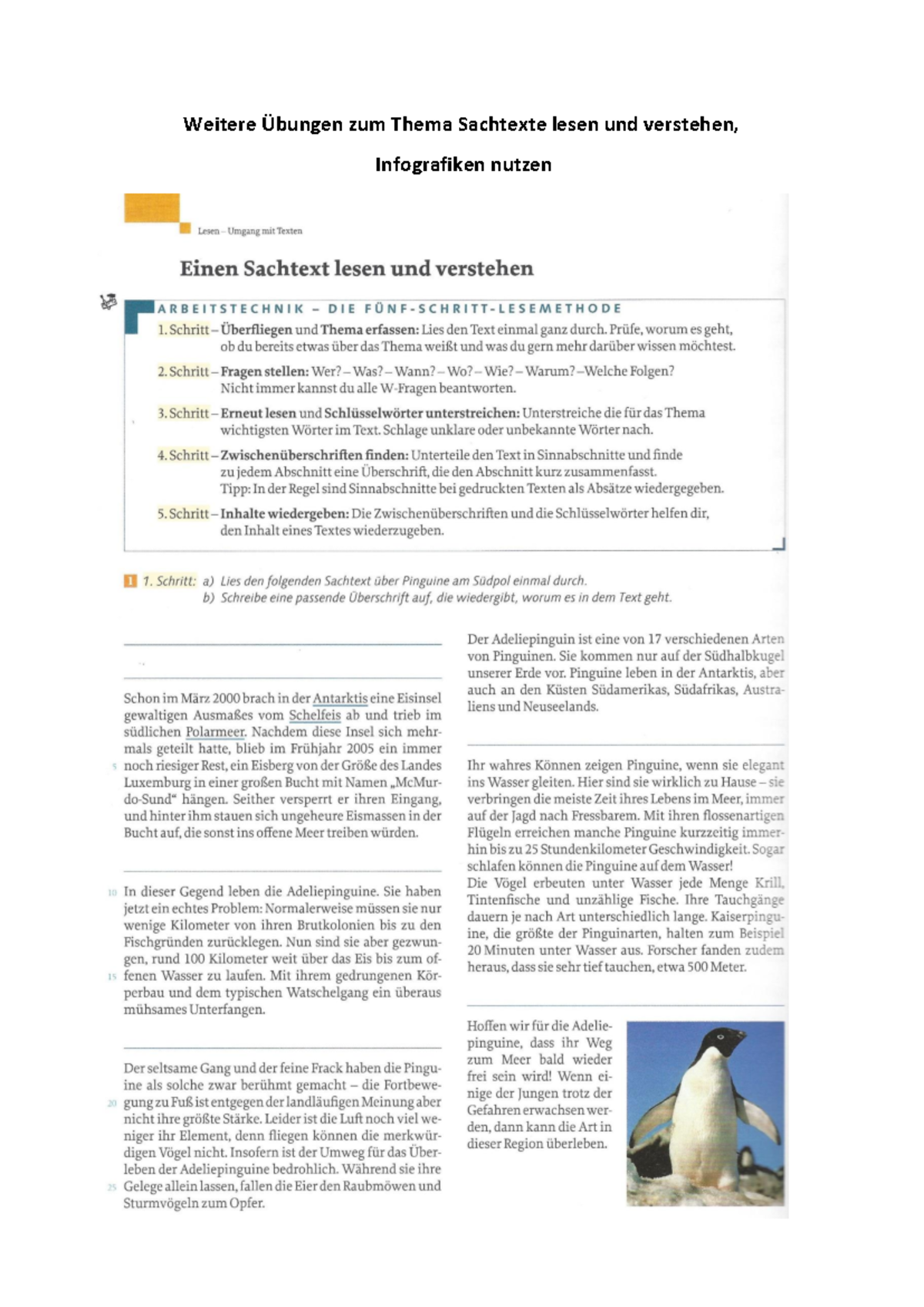 sachtexte-lesen-und-verstehen-bungen-f-r-klasse-6-mit-l-sungen-studocu