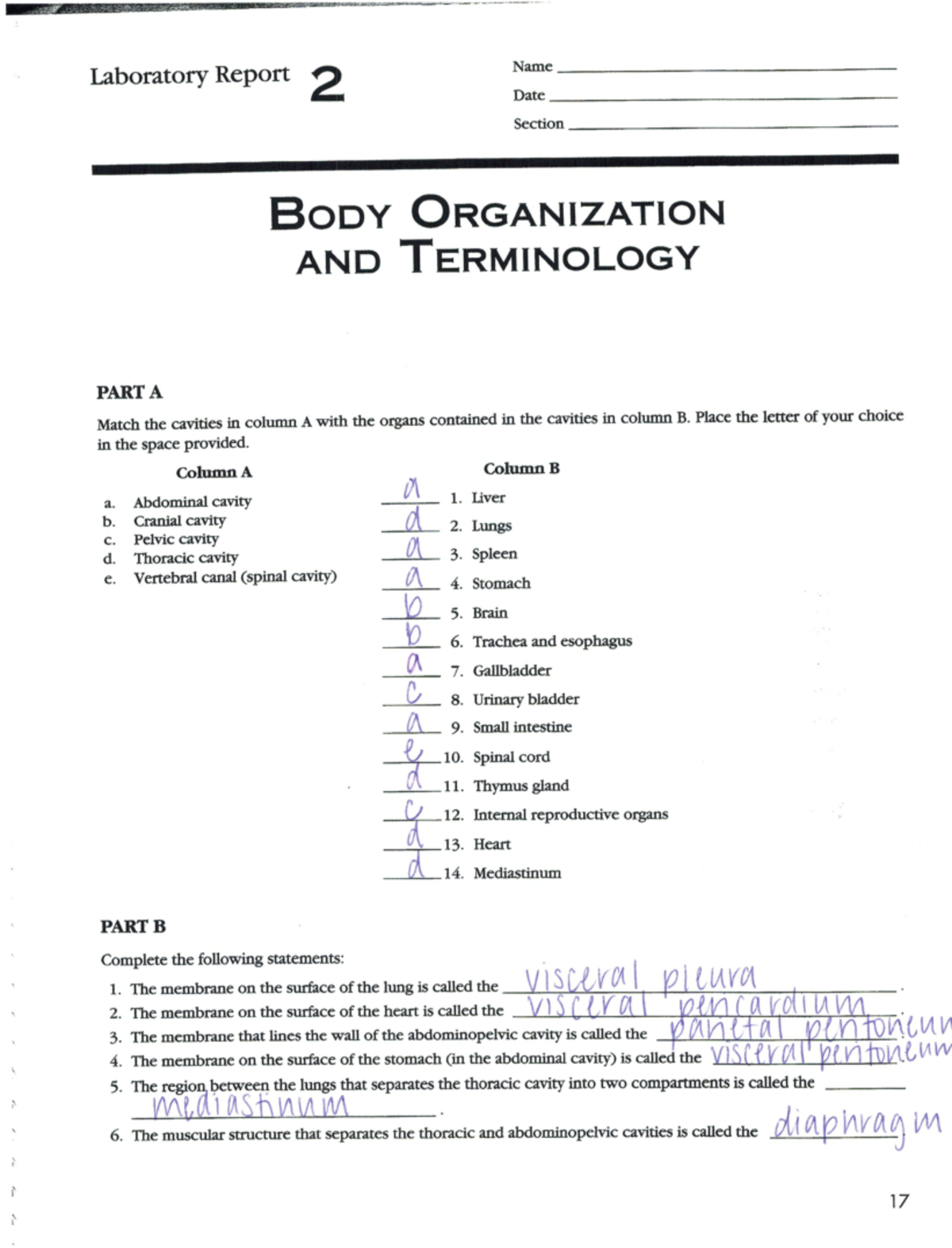 Body Organization and Terminology Worksheet Answers Laboratory Report Name 2 Date Section BODY