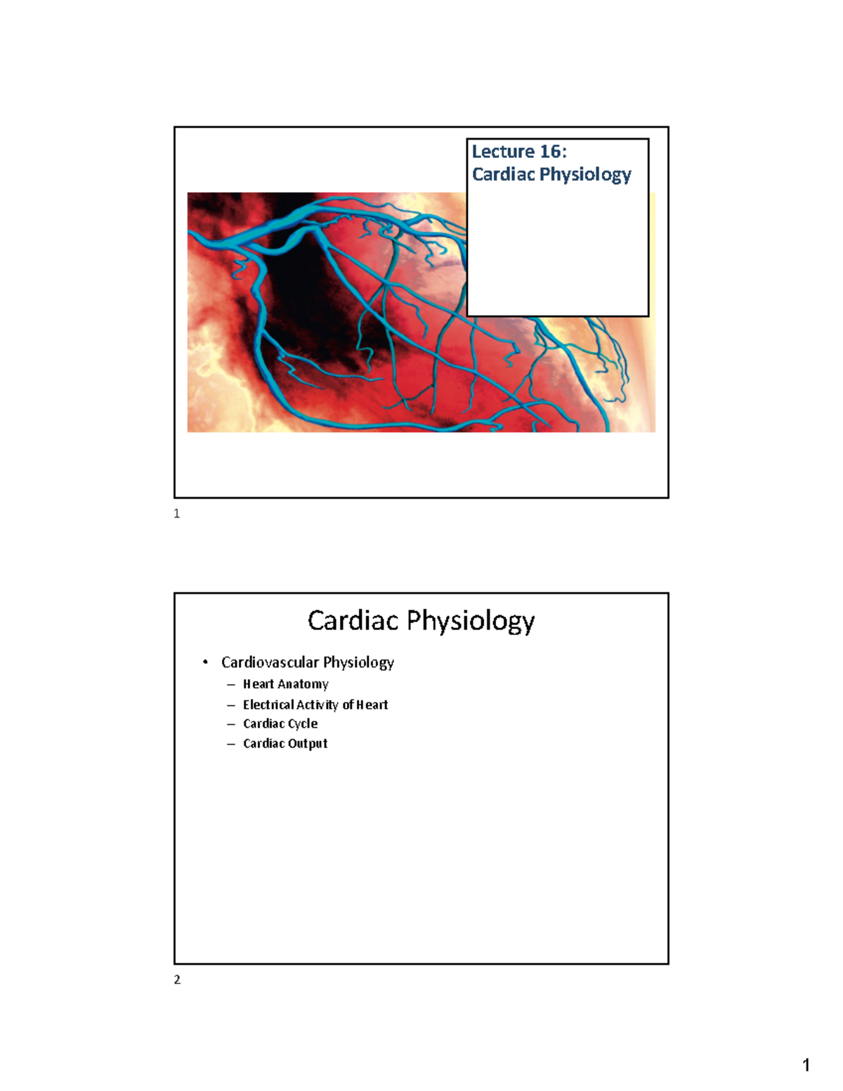 BIO6-Lecture 16-Cardiovascular PDF - Lecture 16: Cardiac Physiology 1 ...