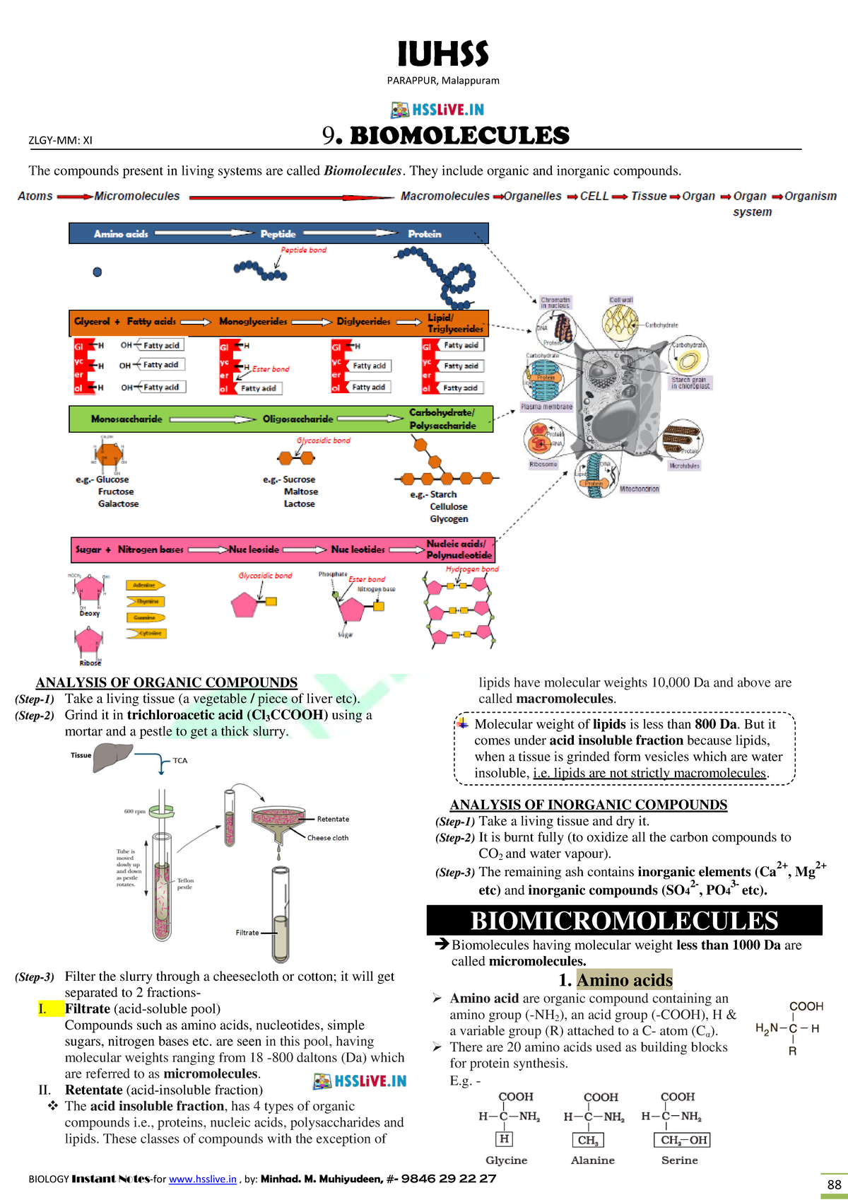 ZLGY-MM: XI Biomolecules and Metabolism - Chapter 9 Notes - Studocu