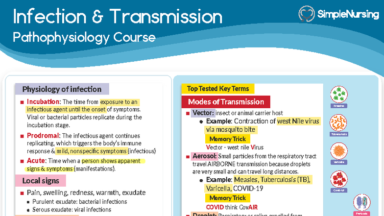 Infection Transmission Pathophysiology: Key Routes & Mechanisms - Studocu