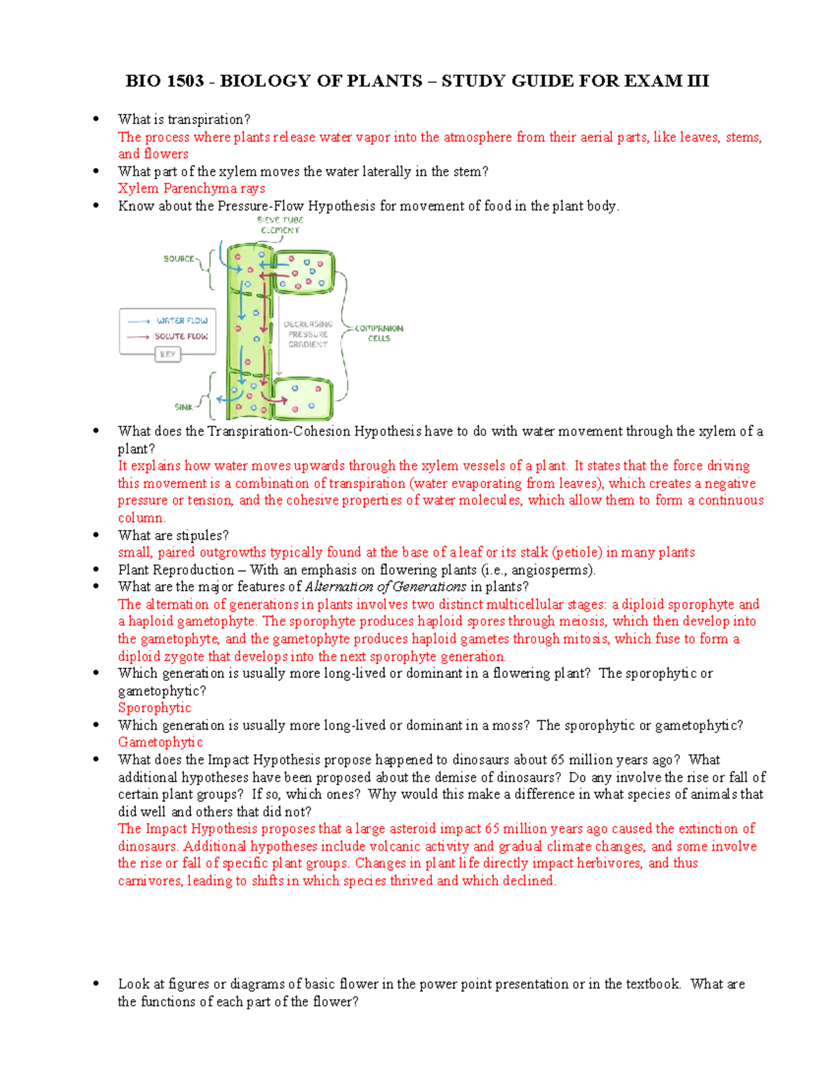 BIO 1503 PLANT BIOLOGY STUDY GUIDE FOR EXAM 3 - Studocu