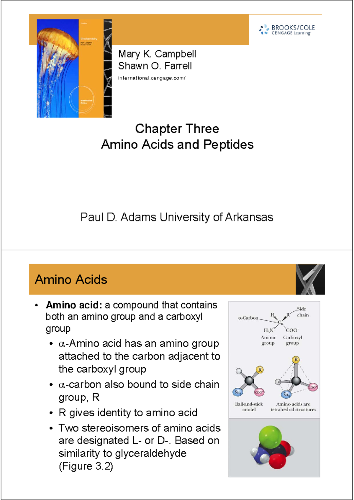 Chapter 3: Amino Acids and Peptides - Physiology (Course Code) - Studocu