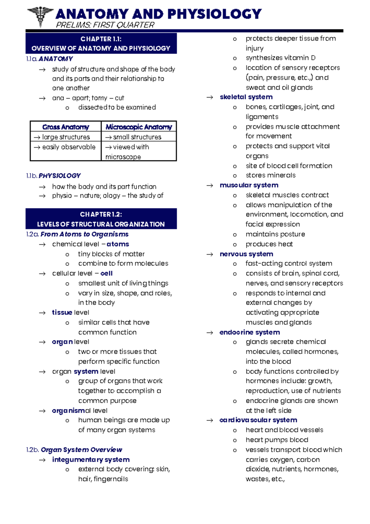 ANAPHY 101: Prelims Notes for First Quarter - Overview & Structure ...